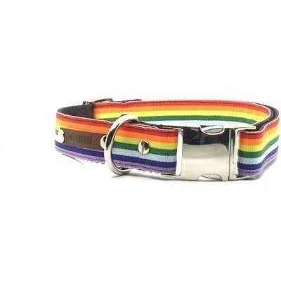 Wholesale Love Is Love! Large Dog Collar  Finnigans Play Pen