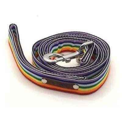 Wholesale Love Is Love! Large Dog Collar  Finnigans Play Pen