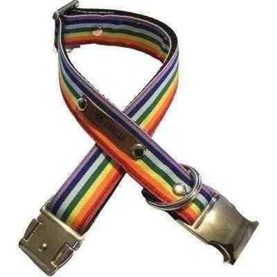 Wholesale Love Is Love! Large Dog Collar  Finnigans Play Pen